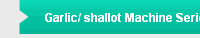 Garlic/ shallot Machine Series