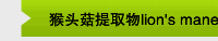 猴头菇提取物lion's mane mushroom extract