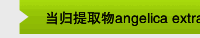 当归提取物angelica extract