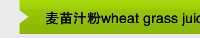 麦苗汁粉wheat grass juice powder
