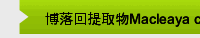 博落回提取物Macleaya cordata extract