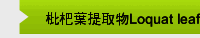 枇杷葉提取物Loquat leaf extract