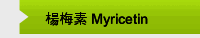 楊梅素 Myricetin