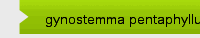 gynostemma pentaphyllum extract 