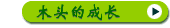 木头的成长