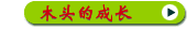 木头的成长