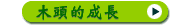 木頭的成長