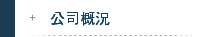公司概況