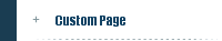 Custom Page