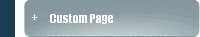 Custom Page