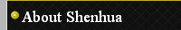 About Shenhua