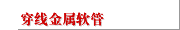 穿线金属软管