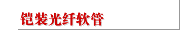 铠装光纤软管