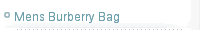 Mens Burberry Bag