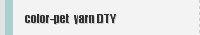 color-pet  yarn DTY