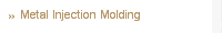 Metal Injection Molding
